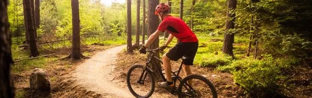 Cross Country mountain bike type, fast, light and agile