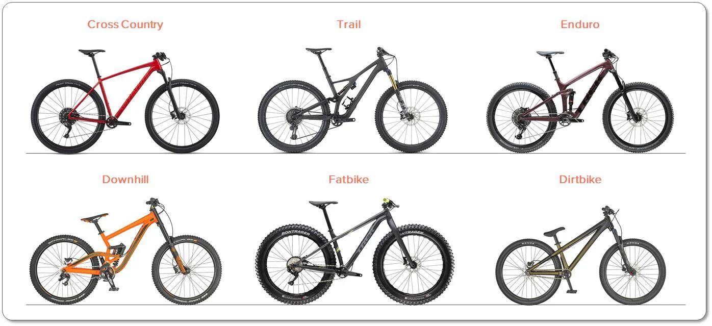 Mountain bike types: the 6 main MTB styles explained